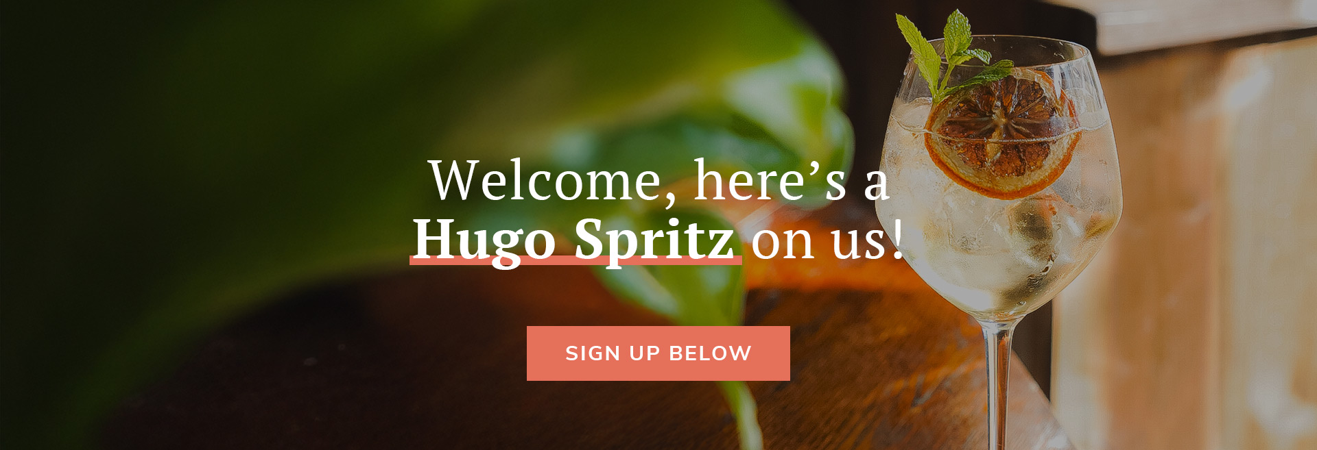 Sign up to the newsletter at The Maid Of Muswell